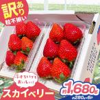 訳あり 粒不揃い スカイベリー 1 680g