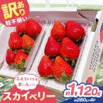 訳あり 粒不揃い スカイベリー 1 120g