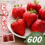 やさしさ仕立てのとちあいか 300g×2P