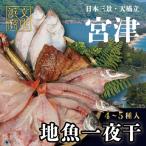 干物 宮津 地魚 丹後 旬 一夜干し 詰め合わせ