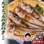 干物 ハタハタ 一夜干し 脂のり 新物 16匹