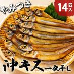 ふっくら柔らかい沖キスの一夜干し 14匹入