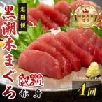 訳あり 不定貫 定期便 4回 本マグロ 赤身 養殖 120g
