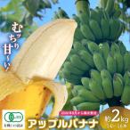 バナナ 有機JAS認証のアップルバナナ 約2kg