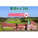 東京ドイツ村 アトラクション回数券 5冊