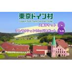入場券 優待券 東京ドイツ村 入園チケット