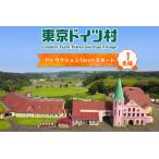 東京ドイツ村 アトラクション1dayパスポート