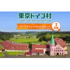 東京ドイツ村 アトラクション1dayパスポート