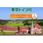 東京ドイツ村 アトラクション1dayパスポート