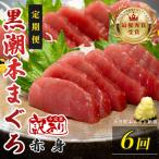 訳あり 不定貫 定期便 6回 本マグロ 大トロ