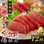 訳あり 不定貫 定期便 12回 本マグロ 赤身