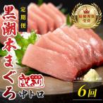 訳あり 不定貫 定期便 6回 本マグロ 中トロ