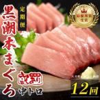 訳あり 不定貫 定期便 12回 本マグロ 中トロ