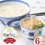 うどん 生麺 天領うどん つゆ ねぎ 揚げ玉 付き 6人前