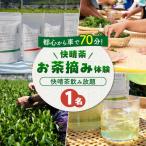 お茶摘み体験 体験チケット