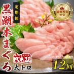 訳あり 不定貫 定期便 12回 本マグロ 大トロ