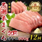 訳あり 不定貫 定期便 12回 本マグロ 赤身