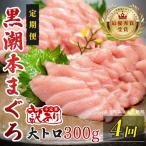 訳あり 不定貫 定期便 4回 本マグロ 大トロ