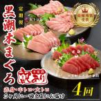 訳あり 不定貫 定期便 4回 本マグロ 大トロ