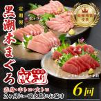 訳あり 不定貫 定期便 6回 本マグロ 大トロ