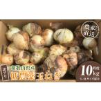 fu.... налог [2026 год отправка минут * предшествующий предварительный заказ ] есть перевод сельское хозяйство дом san прямая поставка низкий пестициды шар лук порей 10kg степень S~2L смешивание [4 месяц средний .~7 месяц средний . примерно отправка предположительно ]. для бытового использования *.. Wakayama префектура сверху Tomita блок 