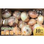 fu.... налог [2026 год отправка минут * предшествующий предварительный заказ ] сельское хозяйство дом san прямая поставка низкий пестициды шар лук порей 2L размер и больше 10kg степень [4 месяц средний .~7 месяц средний . примерно отправка предположительно ][KF15] Wakayama префектура сверху Tomita блок 