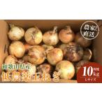 fu.... налог [2026 год отправка минут * предшествующий предварительный заказ ] сельское хозяйство дом san прямая поставка низкий пестициды шар лук порей L размер 10kg степень [4 месяц средний .~7 месяц средний . примерно отправка предположительно ][KF16] Wakayama префектура сверху Tomita блок 