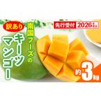 ショッピングふるさと納税 マンゴー ふるさと納税 【先行受付】【2026年発送】南国フーズのキーツマンゴー 訳あり 約3kg - 先行予約 沖縄 産地直送 南国フルーツ ご家庭用 ご自宅.. 沖縄県八重瀬町