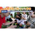 fu.... налог [..... налог ]* Okinawa артистический талант три доска ( samba ) body .*~ Okinawa . костюм body . имеется ~ | Okinawa путешествие купон body . путешествие популярный рекомендация li.. Okinawa префектура север . блок 