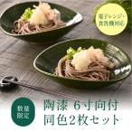 陶漆 7寸隅切長手焼物皿 2枚セット