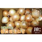 fu.... налог [2026 год отправка минут * предшествующий предварительный заказ ] сельское хозяйство дом san прямая поставка низкий пестициды шар лук порей M размер 10kg степень [4 месяц средний .~7 месяц средний . примерно отправка предположительно ][KF17] Wakayama префектура Wakayama город 