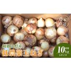 fu.... налог [2026 год отправка минут * предшествующий предварительный заказ ] сельское хозяйство дом san прямая поставка низкий пестициды шар лук порей S размер 10kg степень [4 месяц средний .~7 месяц средний . примерно отправка предположительно ][KF18] Wakayama префектура печать юг блок 