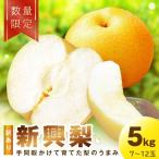 訳あり 新興梨 5kg