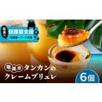 奄美産 タンカンのクレーム ブリュレ 6個