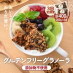 定期便 おやつグラノーラ 大袋 2袋入り