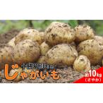 じゃがいも 約10kg