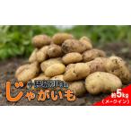 じゃがいも 約5kg