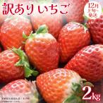 訳あり いちご 2kg