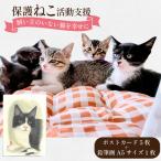 保護猫 支援 猫保護活動への支援 ポストカード 5枚