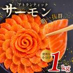 サーモン 約1kg