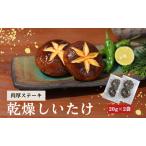 しいたけ 津久見で育てた肉厚ステーキ用乾燥しいたけ 20g×2…