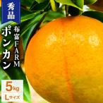 NT2-7-09 秀品ポンカン Lサイズ 5kg