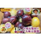 fu.... налог [2026 год отправка ] passion baby еда . сравнение комплект для бытового использования 1.5kg Okinawa префектура юг способ . блок 