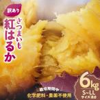 栽培期間中 無農薬 さつまいも 紅はるか