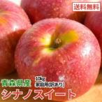 平均糖度13度以上 シナノスイート 約10kg