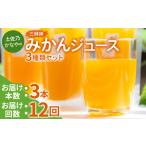 みかんジュース 9本×12回