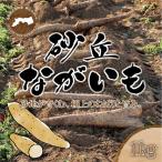 1112.砂丘ながいも1kg