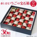 赤いちご と 白いちごの宝石箱36粒 共通返礼品:大子町