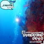 徳島最南端の海でファンダイビング