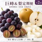 定期便 8 紀州有田産旬のフルーツセット